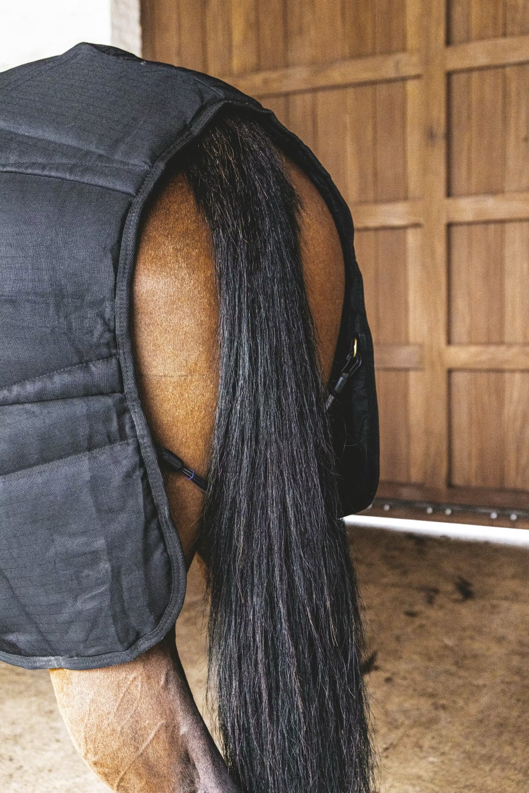 Kentucky Stable Rug Classic - Løwenborg - Kentucky Horsewear