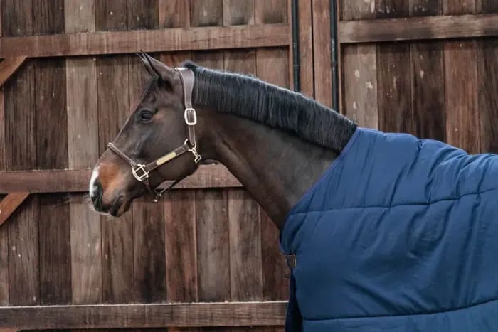 Kentucky Under Rug Classic - Løwenborg - Kentucky Horsewear