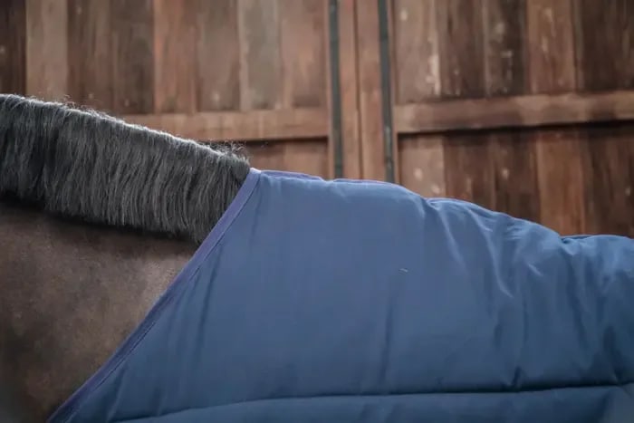 Kentucky Under Rug Classic