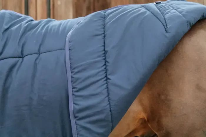 Kentucky Under Rug Classic