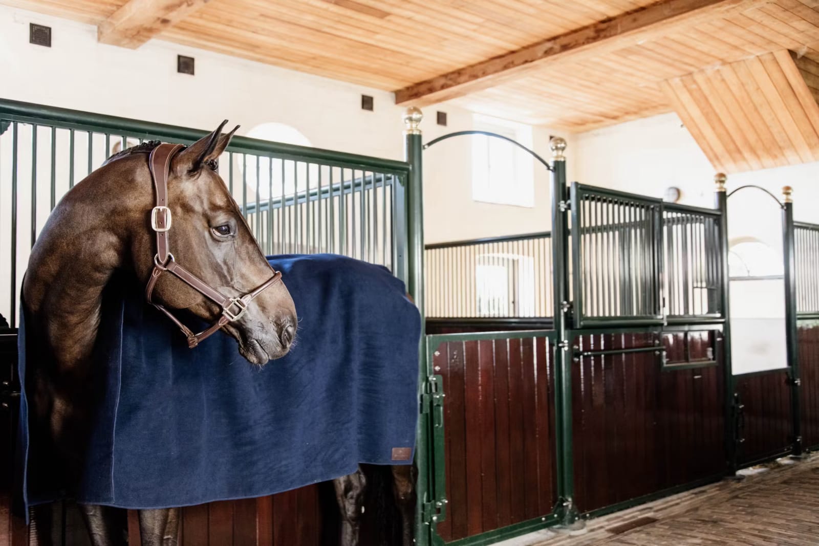 Kentucky Heavy Fleece Rug Square