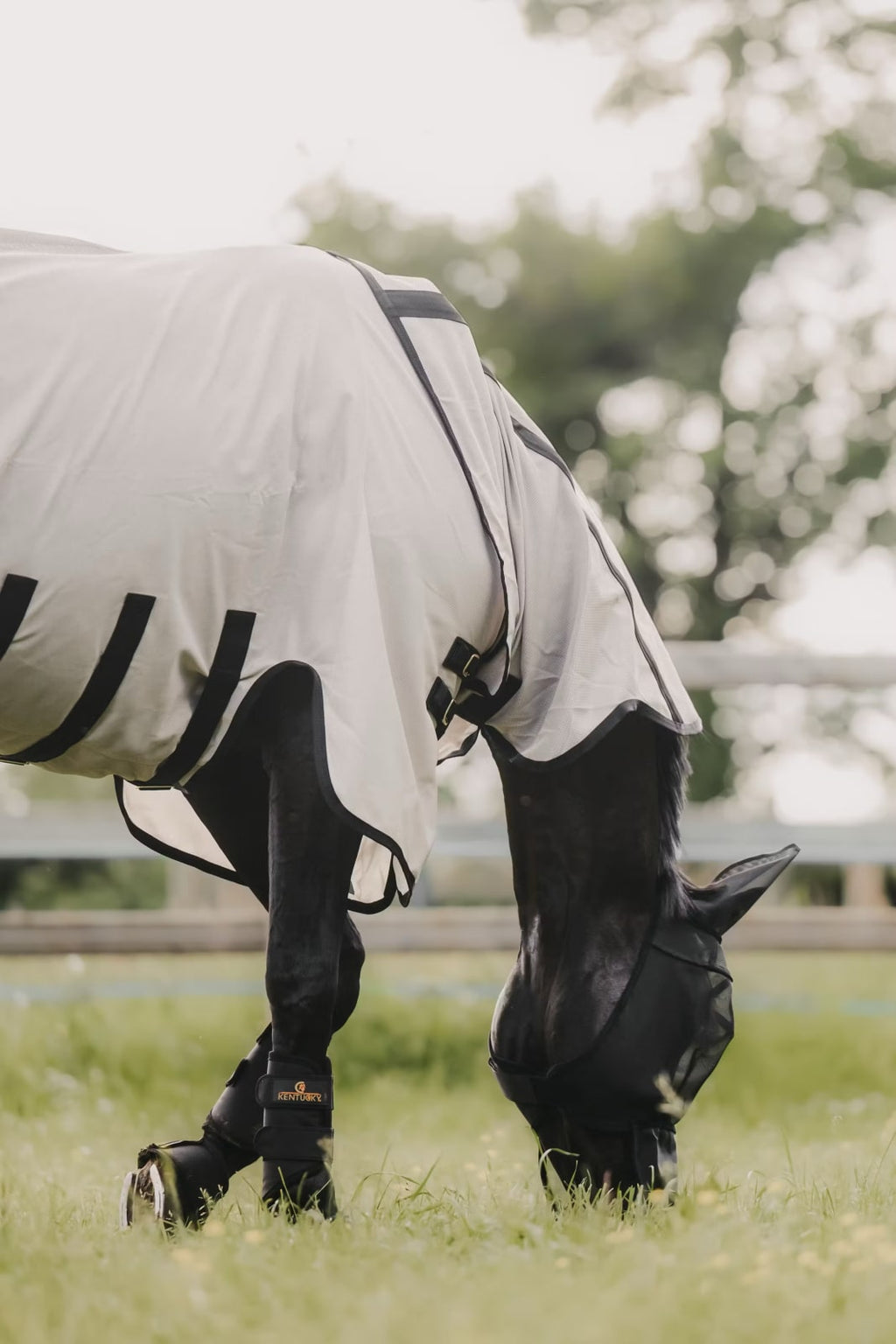 Kentucky Mesh Fly Rug - Løwenborg - Kentucky Horsewear
