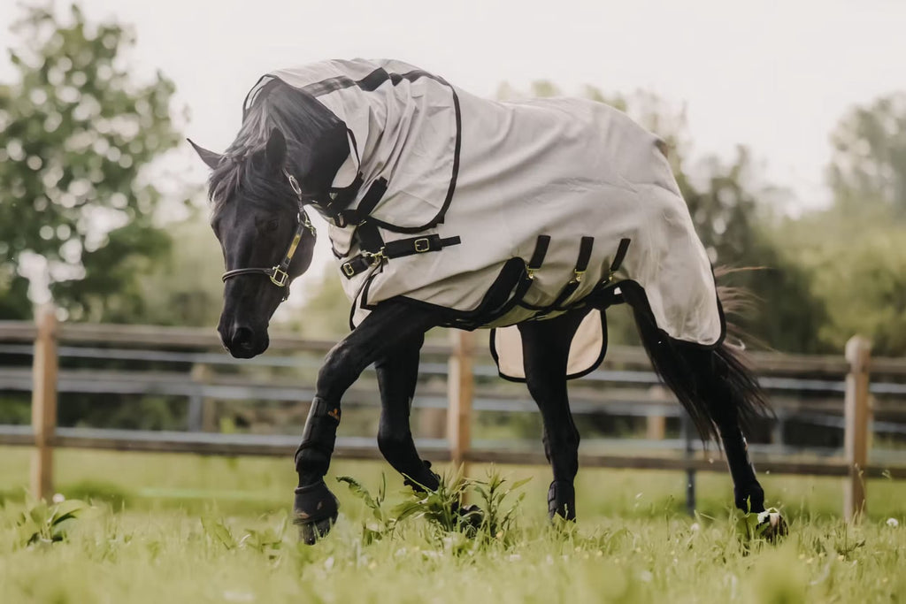Kentucky Mesh Fly Rug - Løwenborg - Kentucky Horsewear