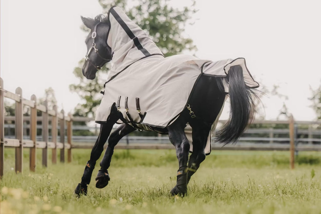 Kentucky Mesh Fly Rug - Løwenborg - Kentucky Horsewear