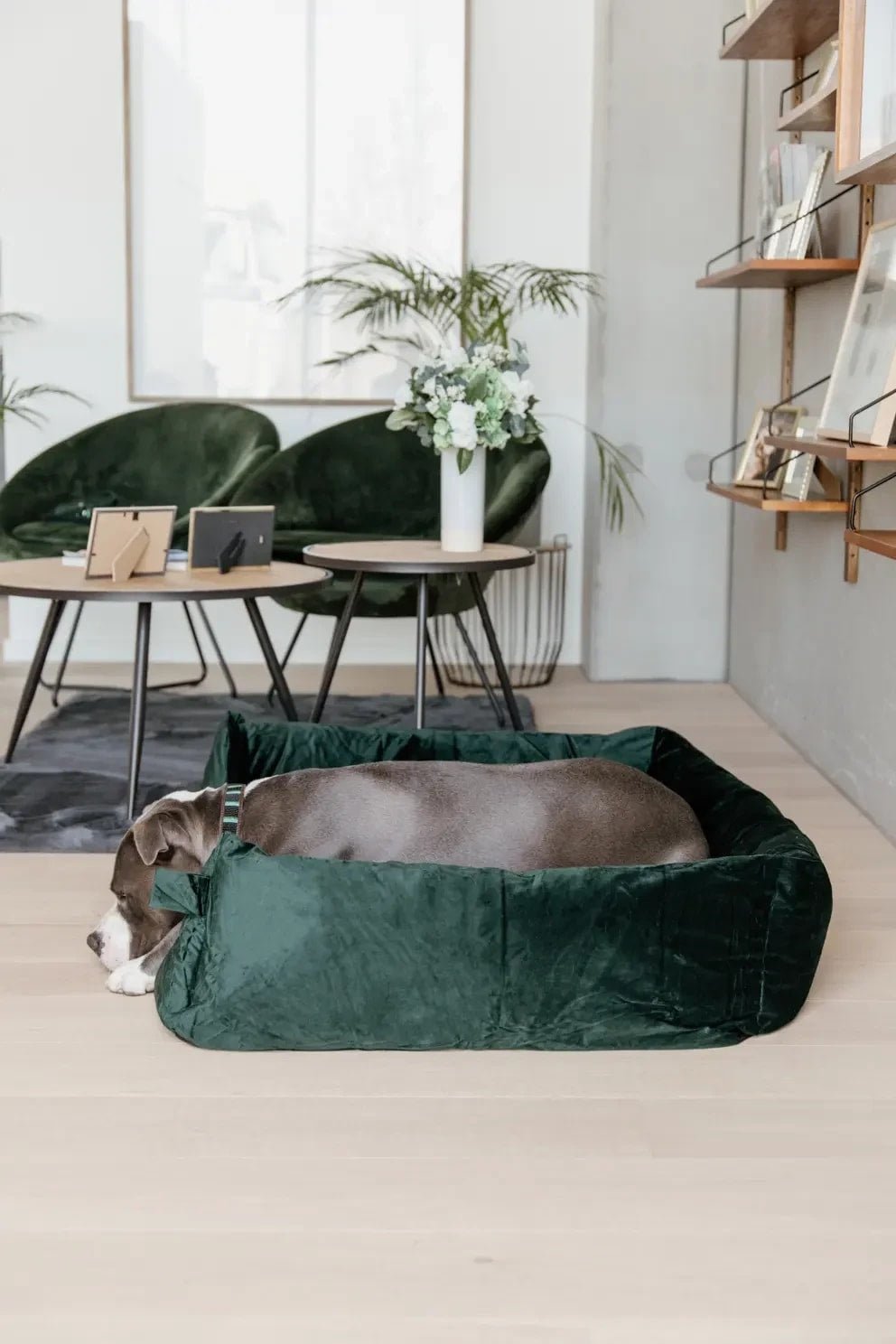 Kentucky Dog Bed Velvet - Løwenborg - Kentucky Dogwear