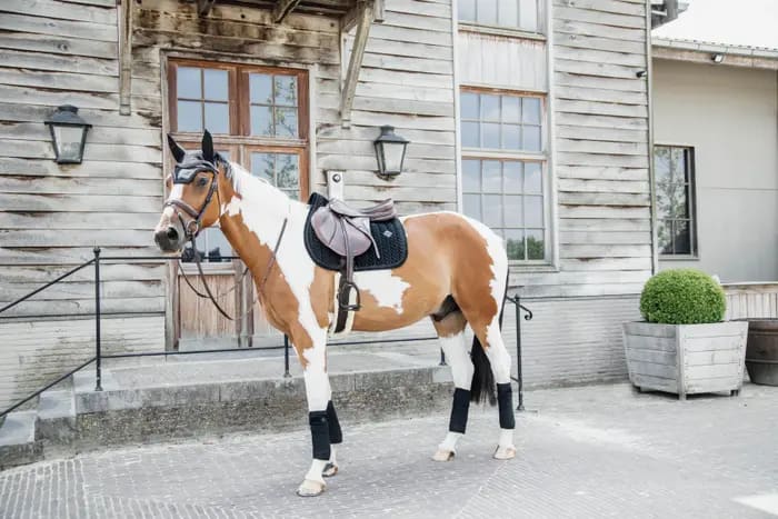 Kentucky Saddle Pad Velvet Pearls Jumping - Løwenborg - Kentucky Horsewear