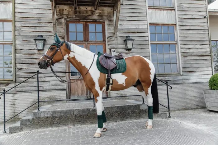 Kentucky Saddle Pad Velvet Pearls Jumping - Løwenborg - Kentucky Horsewear