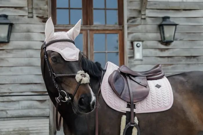 Kentucky Saddle Pad Velvet Pearls Jumping - Løwenborg - Kentucky Horsewear