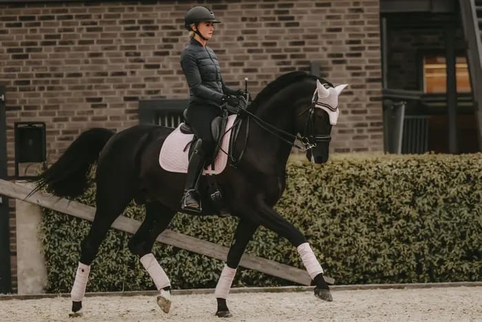 Kentucky Saddle Pad Velvet Pearls Dressage - Løwenborg - Kentucky Horsewear