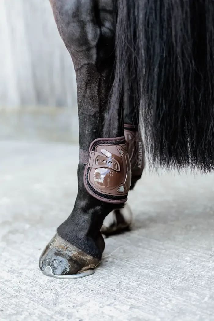 Kentucky Moonboots Elastic - Løwenborg - Kentucky Horsewear