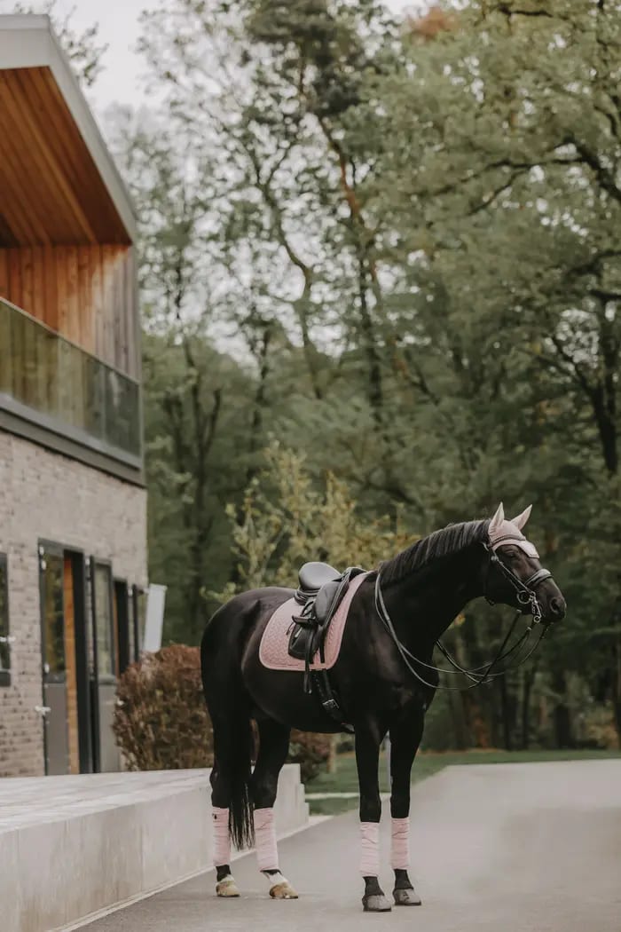 Kentucky Fly Veil Wellington Velvet Pearls