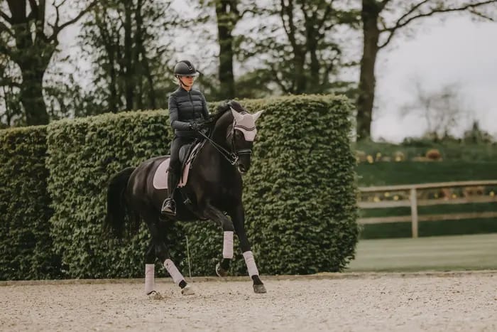 Kentucky Fly Veil Wellington Velvet Pearls