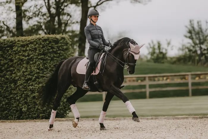 Kentucky Fly Veil Wellington Velvet Pearls