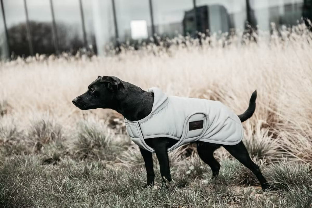 Kentucky Dog Coat Reflective Water Repellent Belly Cover - Løwenborg - Kentucky Dogwear