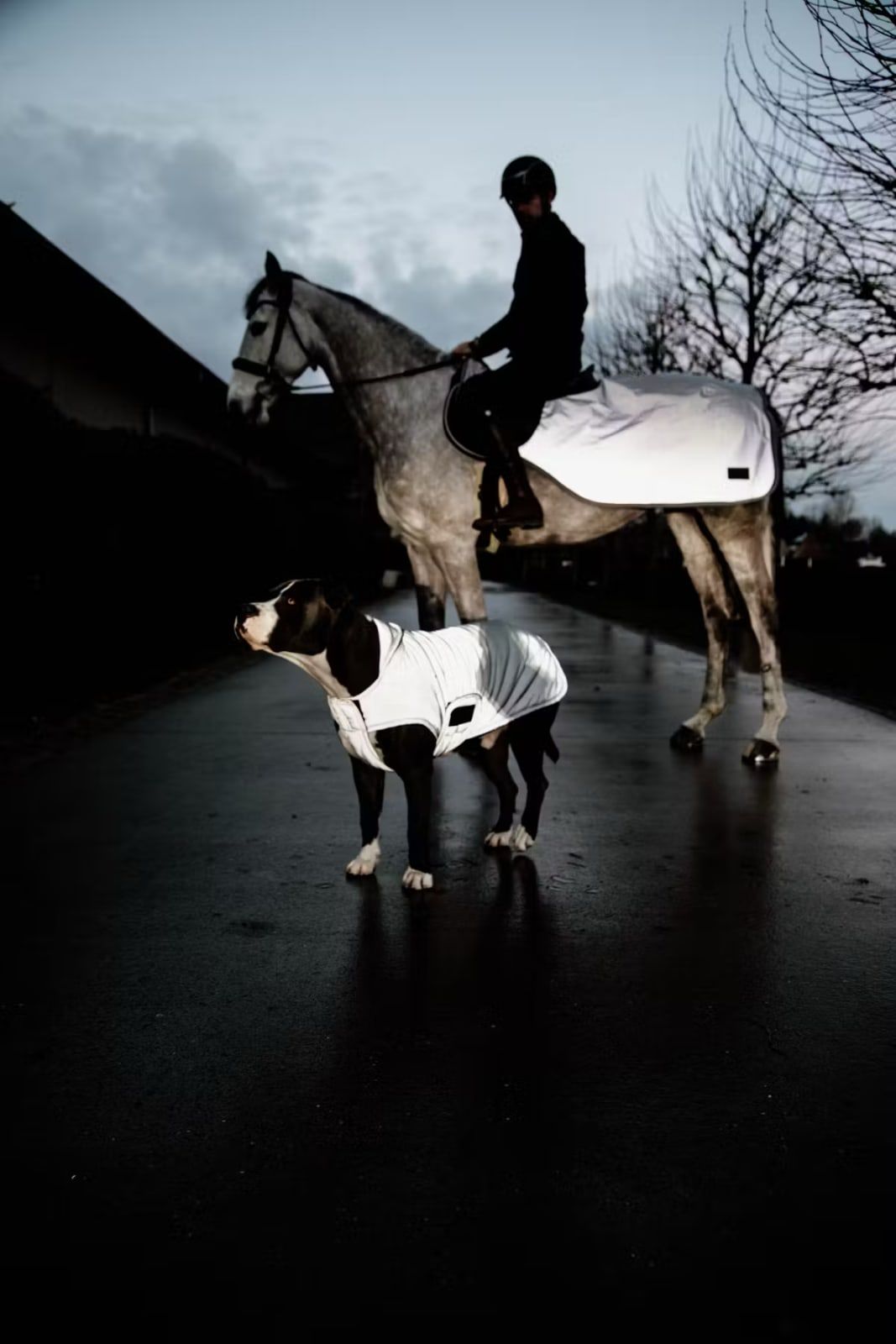 Kentucky Dog Coat Reflective Water Repellent Belly Cover - Løwenborg - Kentucky Dogwear