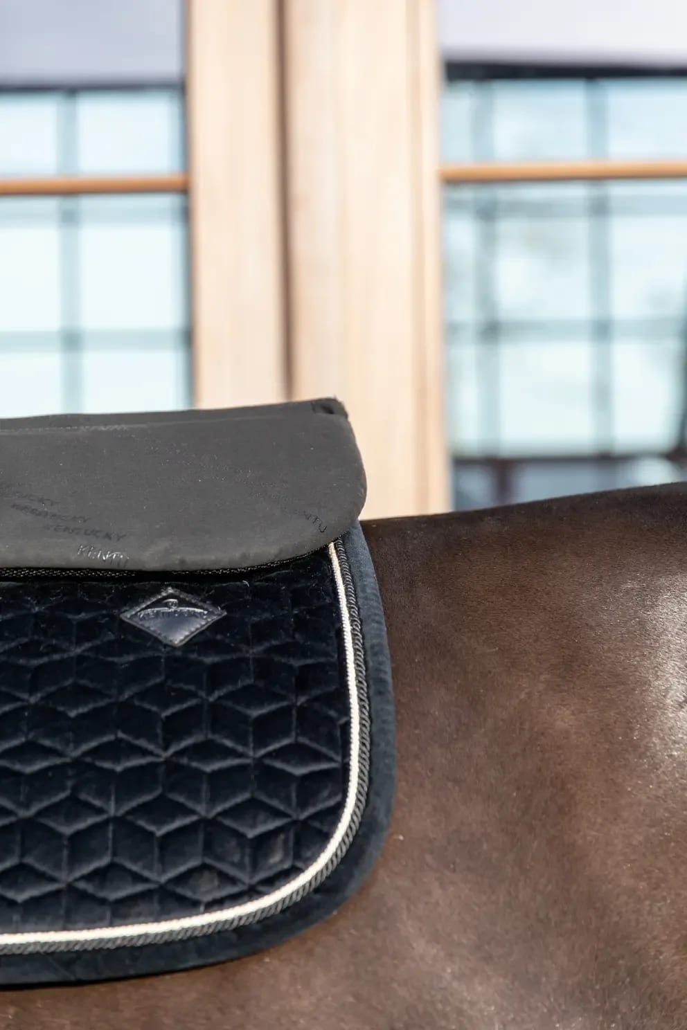 Kentucky Half Pad Correction Impact - Løwenborg - Kentucky Horsewear