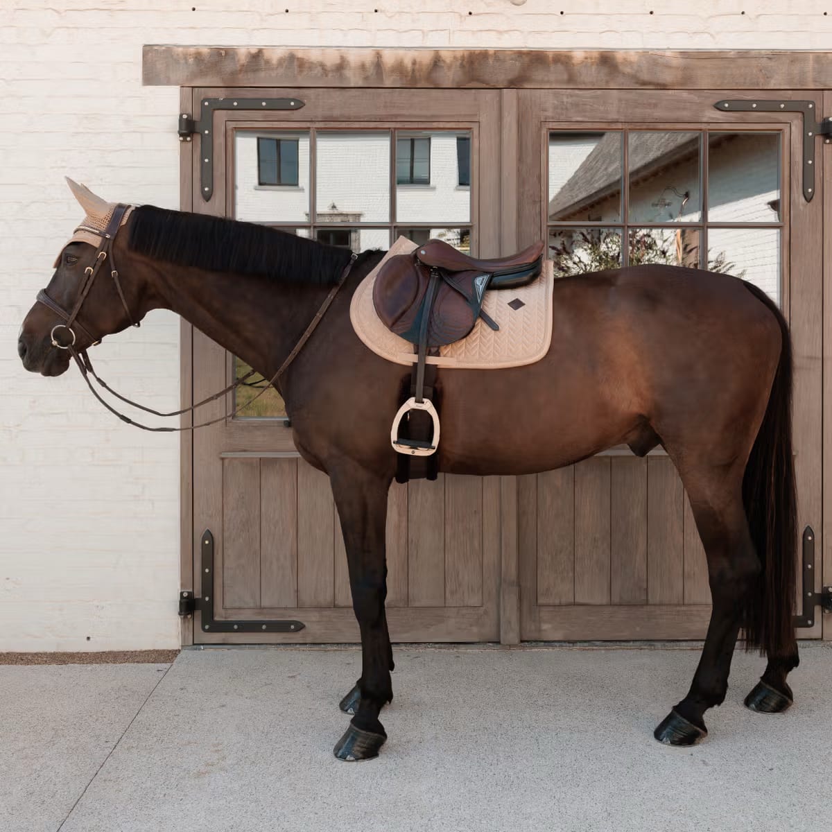Kentucky Saddle Pad Velvet Mini Pearls Jumping - Løwenborg - Kentucky Horsewear