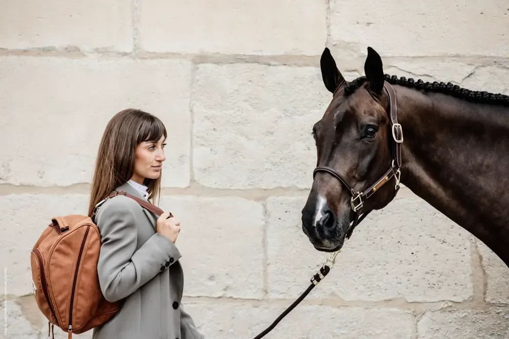 Grooming Deluxe Chestnut Helmet Bag - Løwenborg - Grooming Deluxe