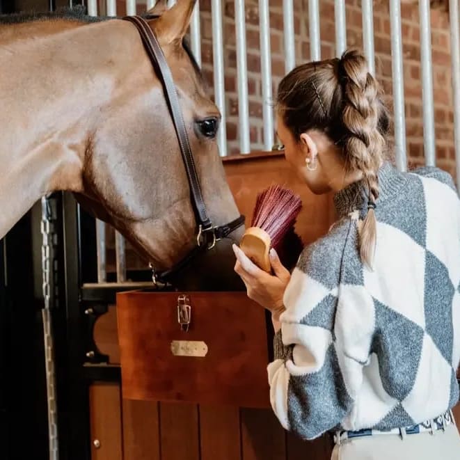 Grooming Deluxe Middle Brush Long - Løwenborg - Grooming Deluxe