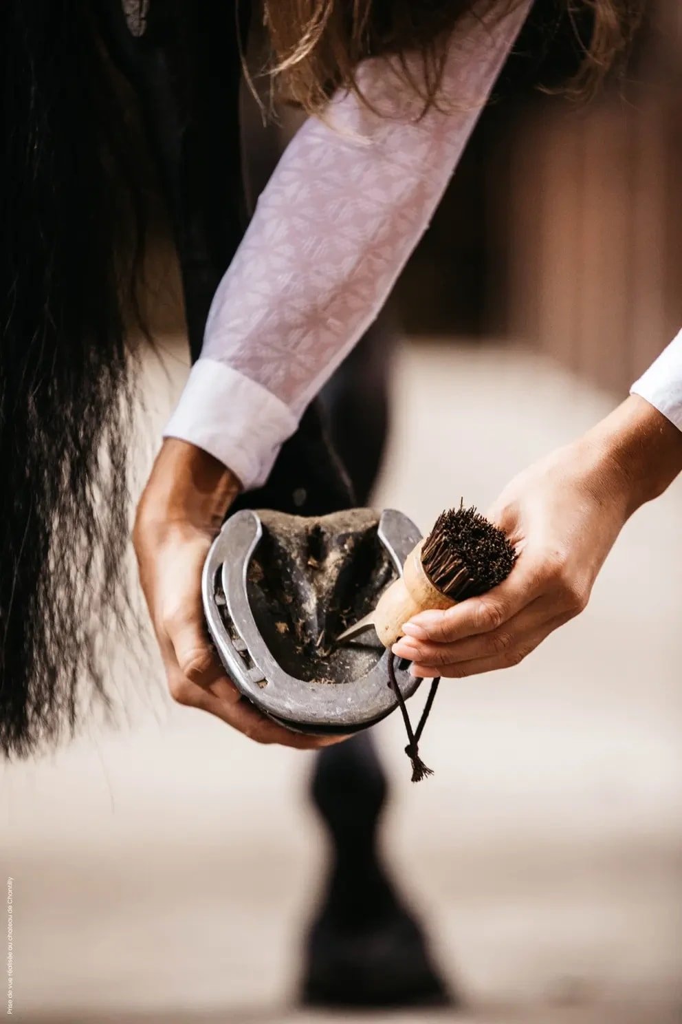 Grooming Deluxe Hoof Pick Small - Løwenborg - Grooming Deluxe