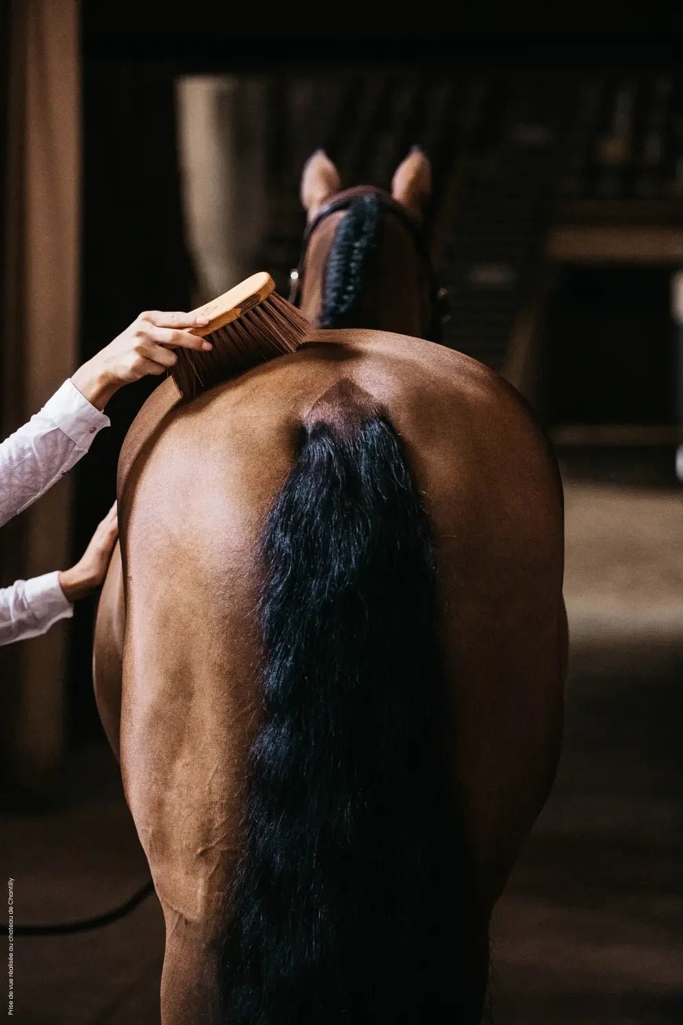 Grooming Deluxe Middle Brush Medium - Løwenborg - Grooming Deluxe