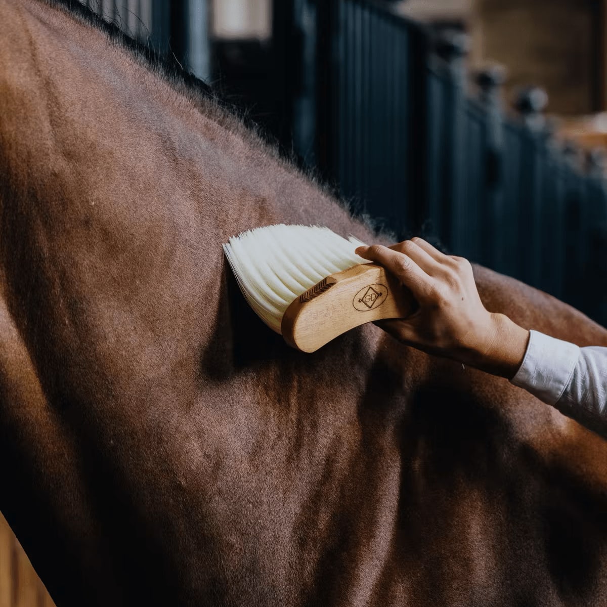 Grooming Deluxe Middle Brush Long - Løwenborg - Grooming Deluxe
