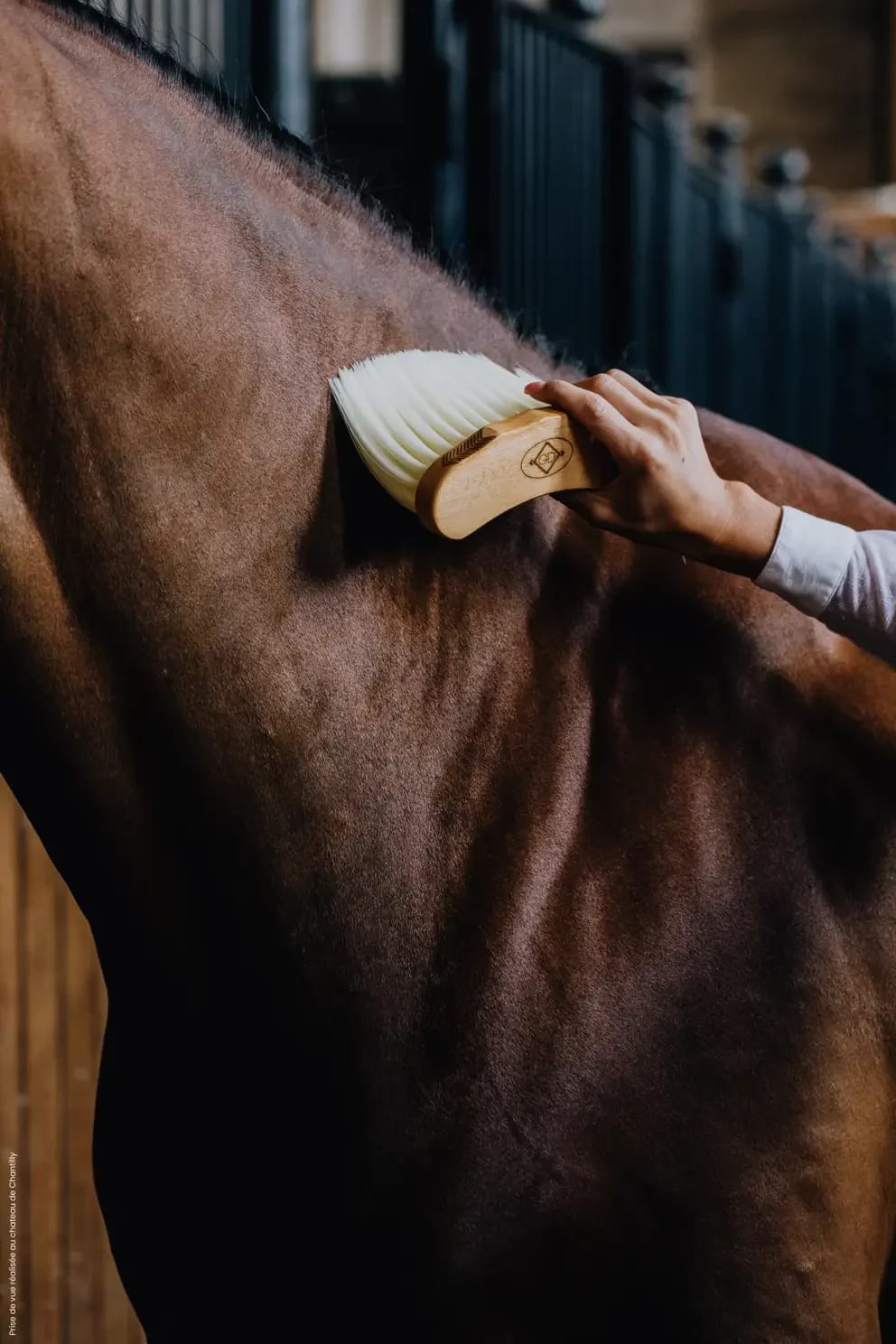 Grooming Deluxe Middle Brush Long - Løwenborg - Grooming Deluxe