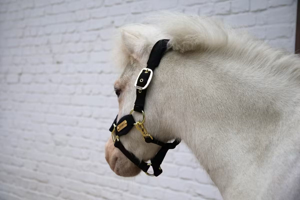 Kentucky Velvet Halter - Løwenborg - Kentucky Horsewear