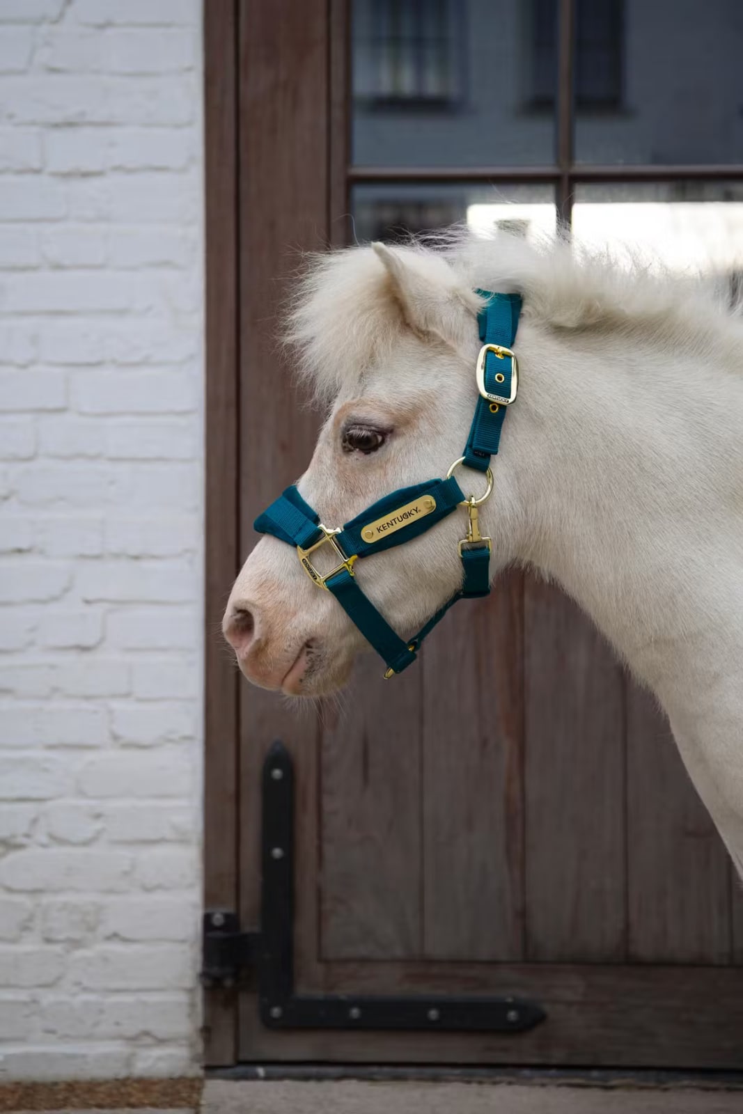 Kentucky Velvet Halter - Løwenborg - Kentucky Horsewear