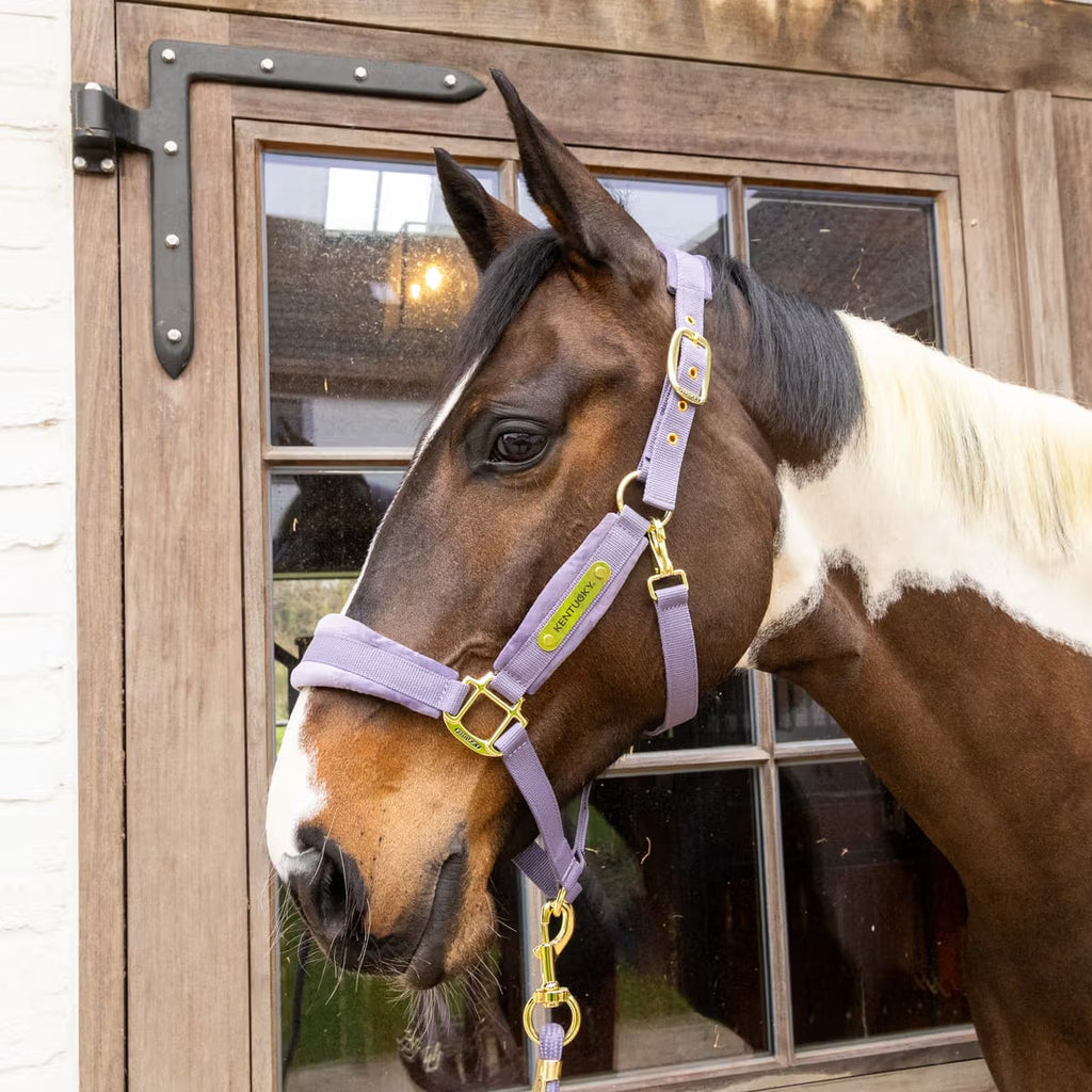 Kentucky Velvet Halter - Løwenborg - Kentucky Horsewear
