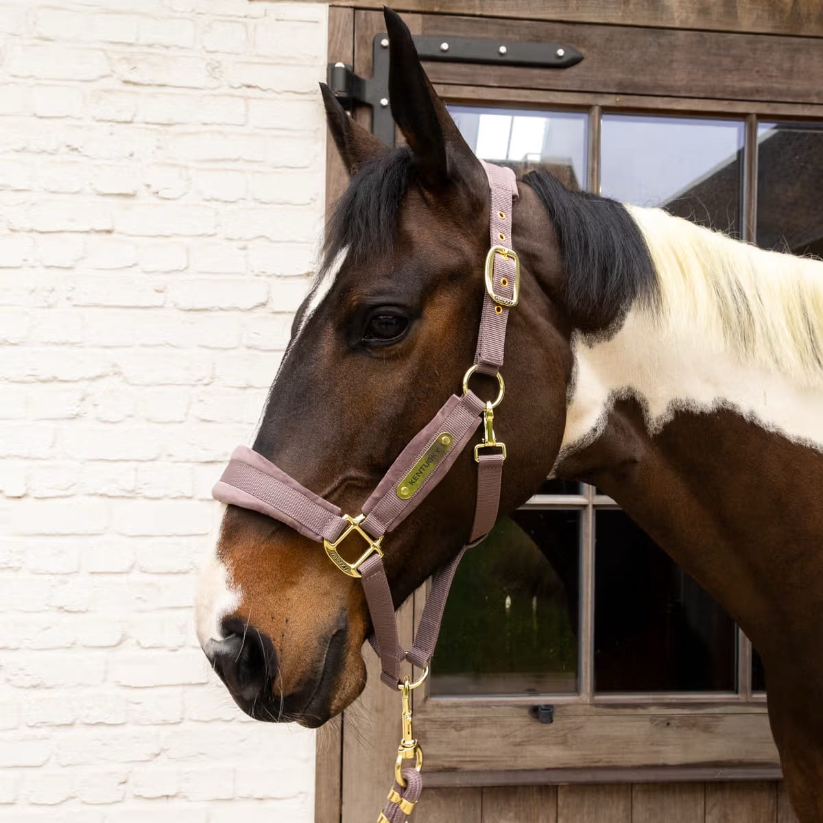 Kentucky Velvet Halter - Løwenborg - Kentucky Horsewear