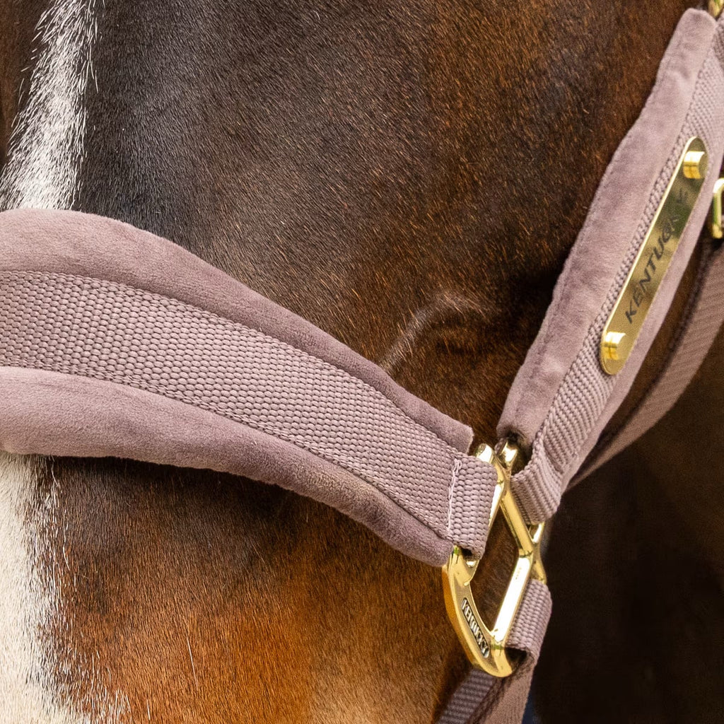 Kentucky Velvet Halter - Løwenborg - Kentucky Horsewear