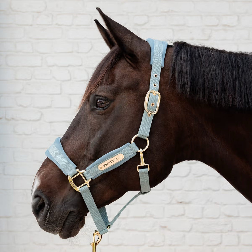 Kentucky Velvet Halter - Løwenborg - Kentucky Horsewear