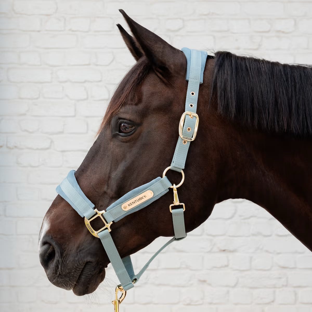 Kentucky Velvet Halter - Løwenborg - Kentucky Horsewear