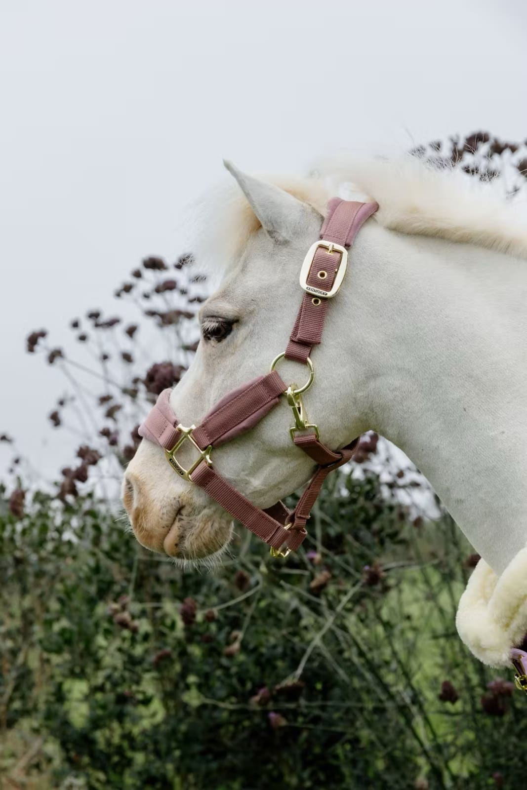 Kentucky Velvet Halter - Løwenborg - Kentucky Horsewear