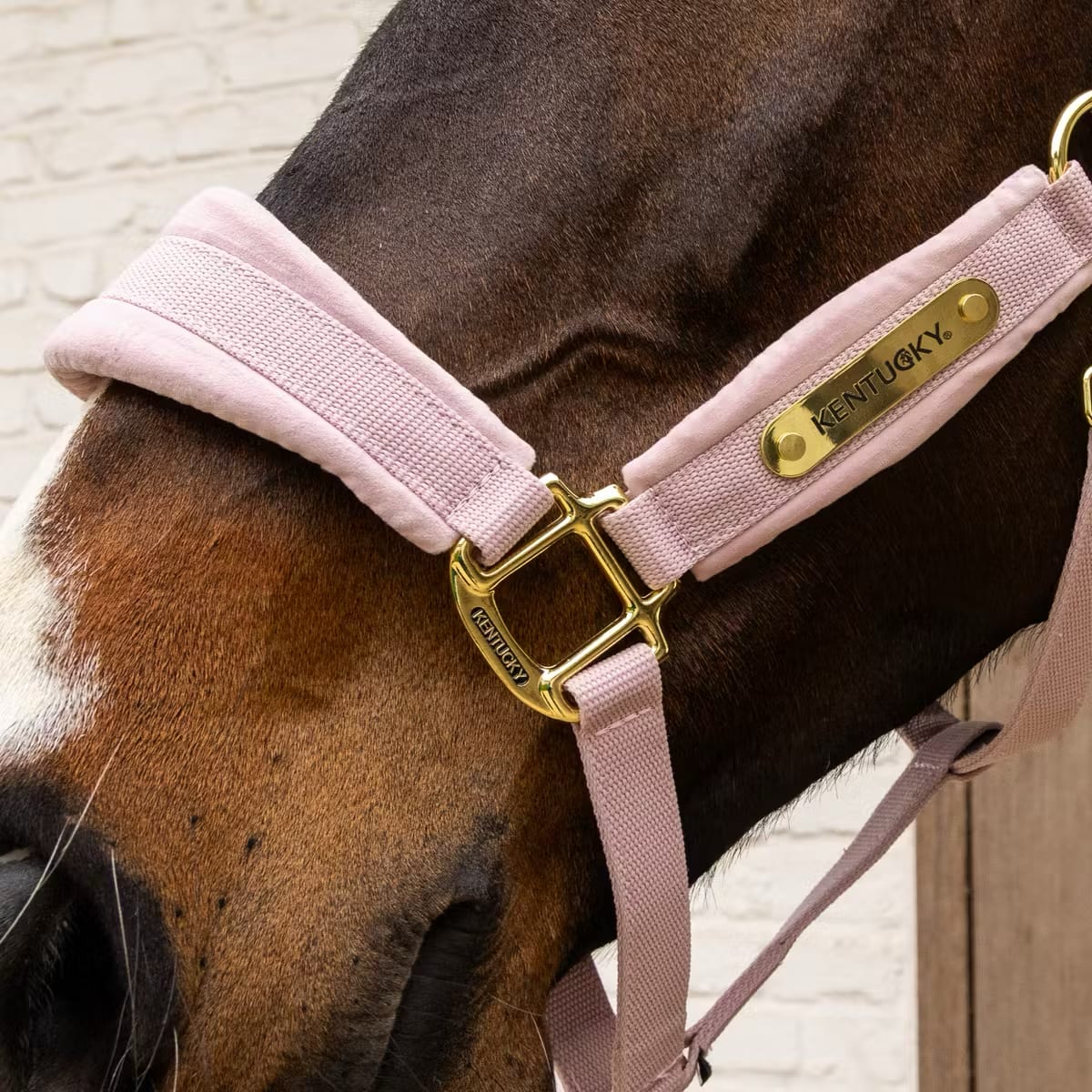 Kentucky Velvet Halter - Løwenborg - Kentucky Horsewear