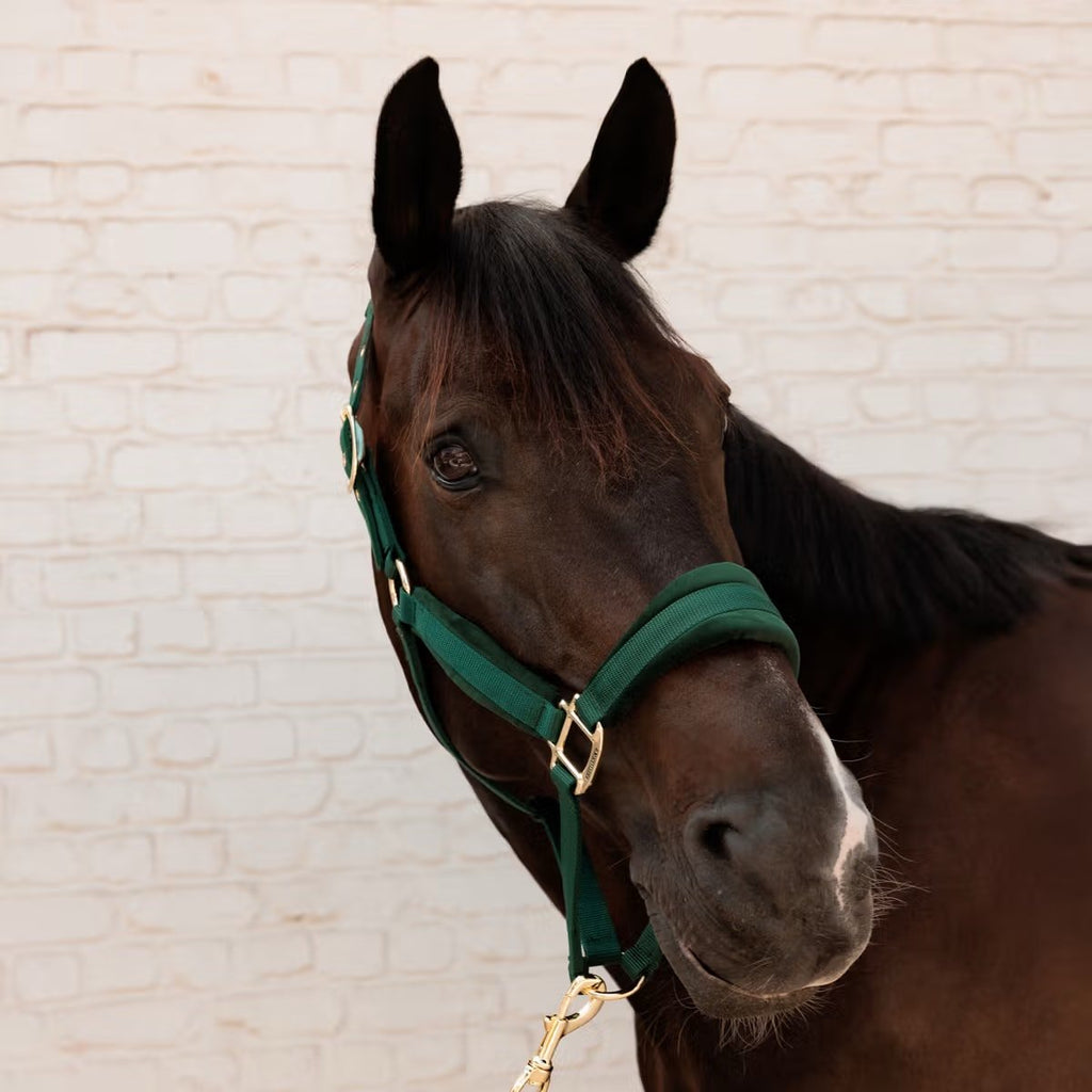 Kentucky Velvet Halter - Løwenborg - Kentucky Horsewear