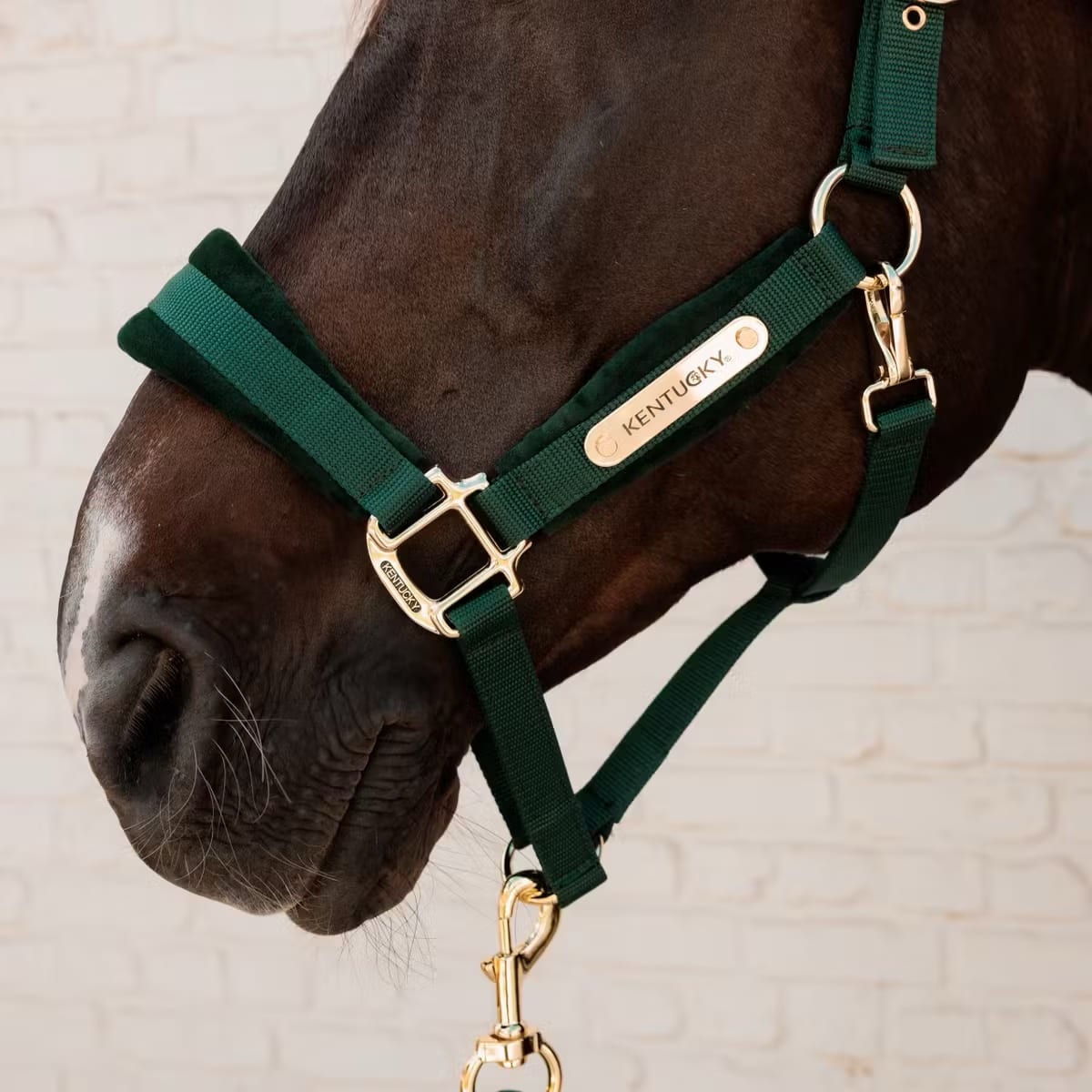 Kentucky Velvet Halter - Løwenborg - Kentucky Horsewear