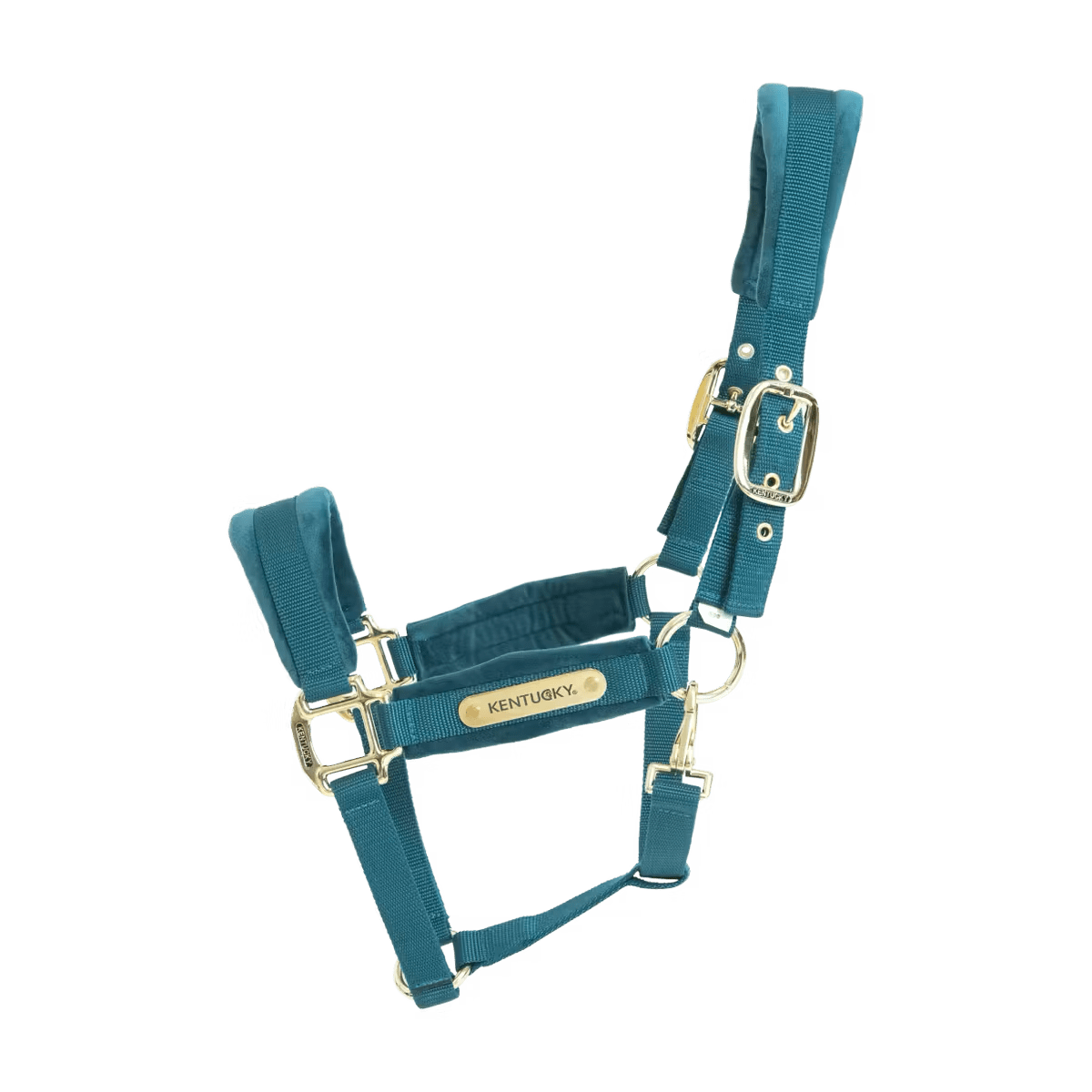 Kentucky Velvet Halter