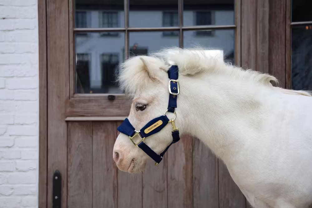 Kentucky Velvet Halter - Løwenborg - Kentucky Horsewear