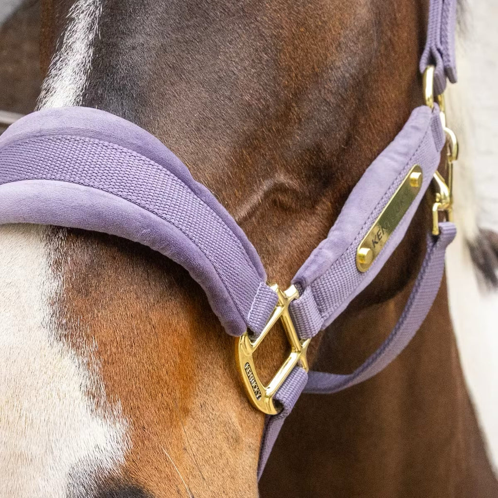 Kentucky Velvet Halter - Løwenborg - Kentucky Horsewear