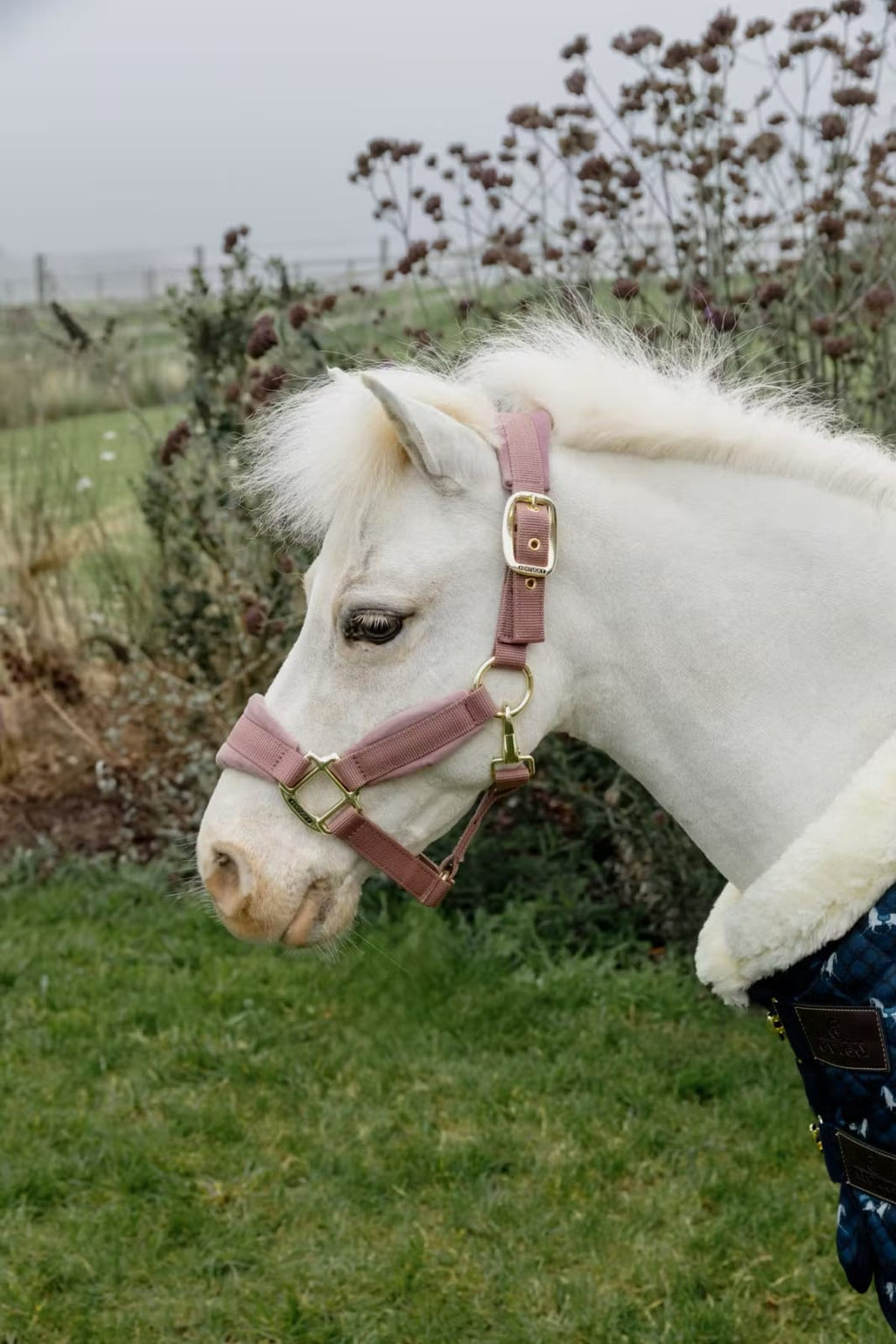 Kentucky Velvet Halter - Løwenborg - Kentucky Horsewear