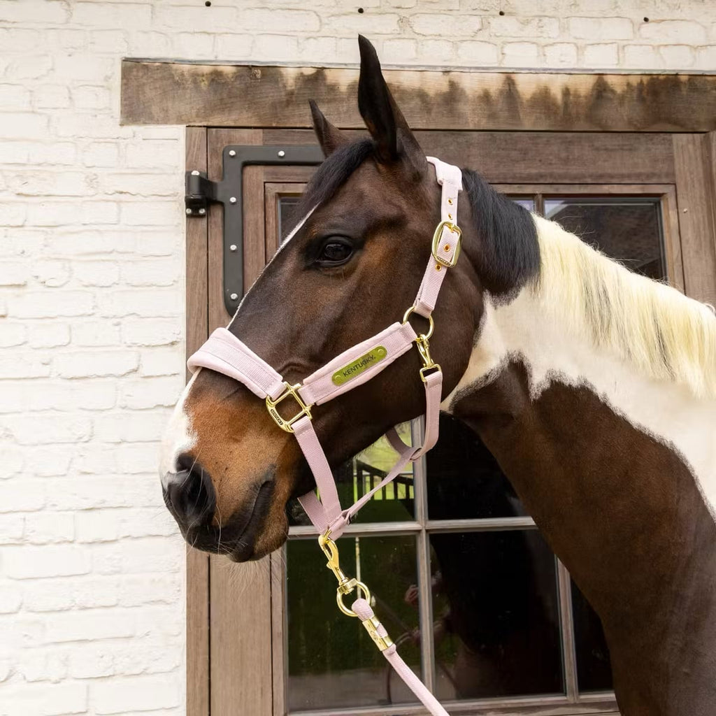 Kentucky Velvet Halter - Løwenborg - Kentucky Horsewear