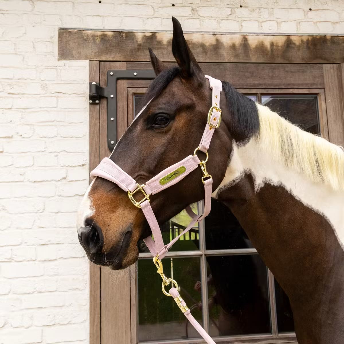 Kentucky Velvet Halter - Løwenborg - Kentucky Horsewear