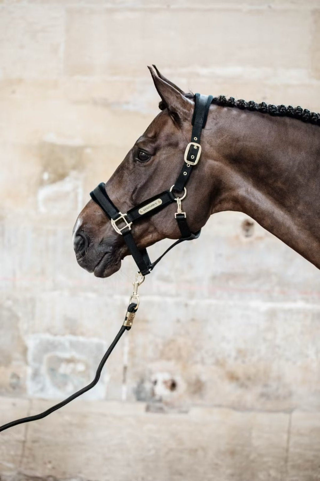 Kentucky Velvet Halter - Løwenborg - Kentucky Horsewear