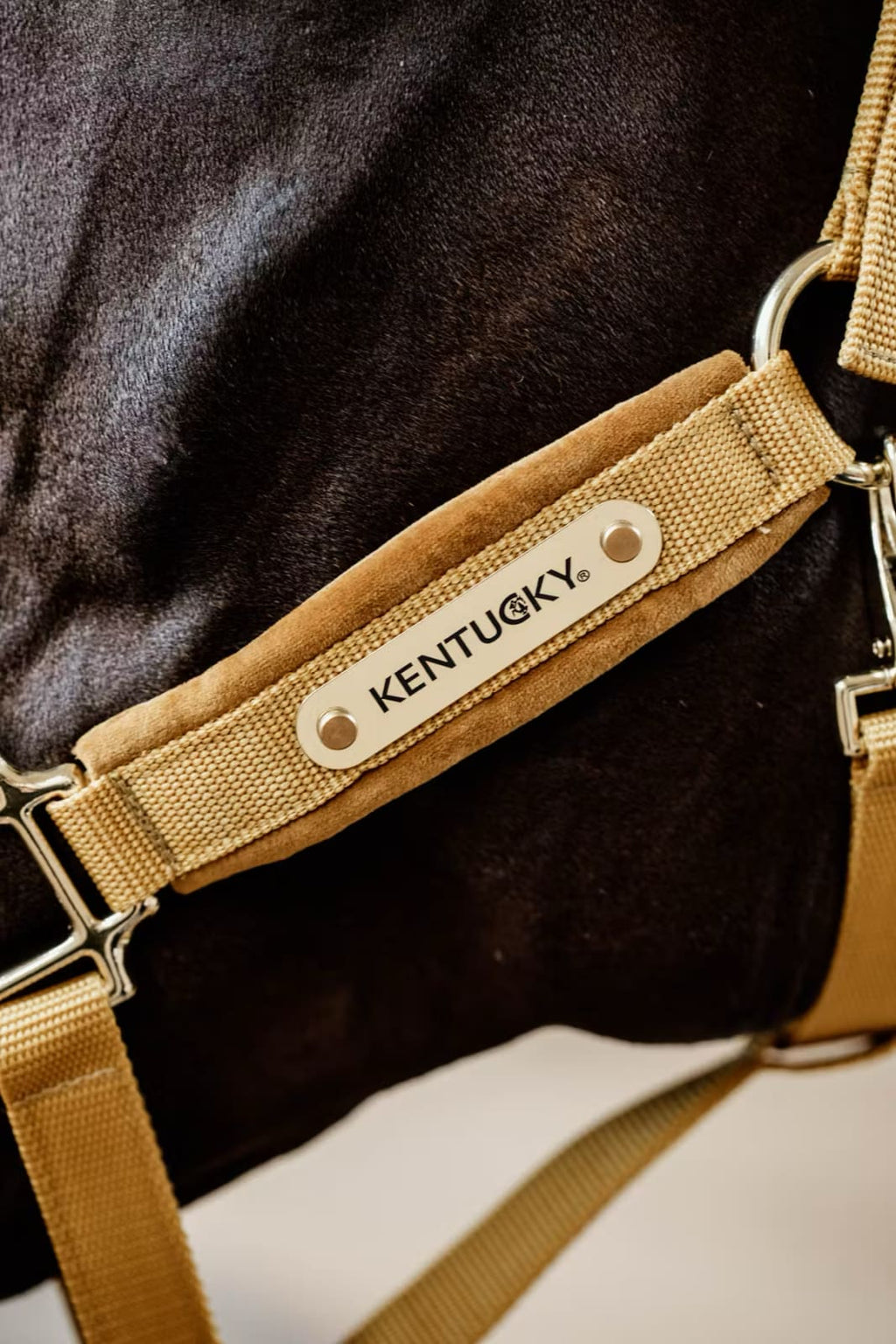 Kentucky Velvet Halter - Løwenborg - Kentucky Horsewear