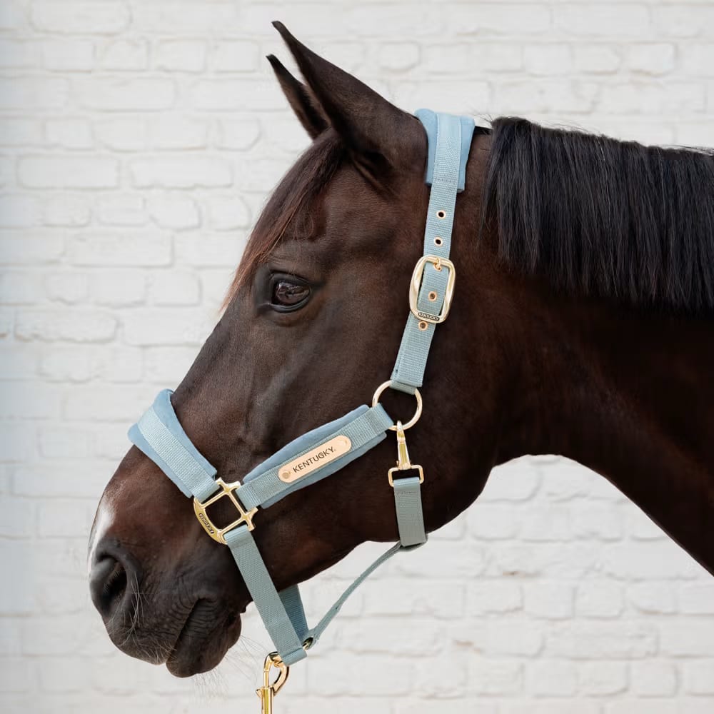 Kentucky Velvet Halter - Løwenborg - Kentucky Horsewear