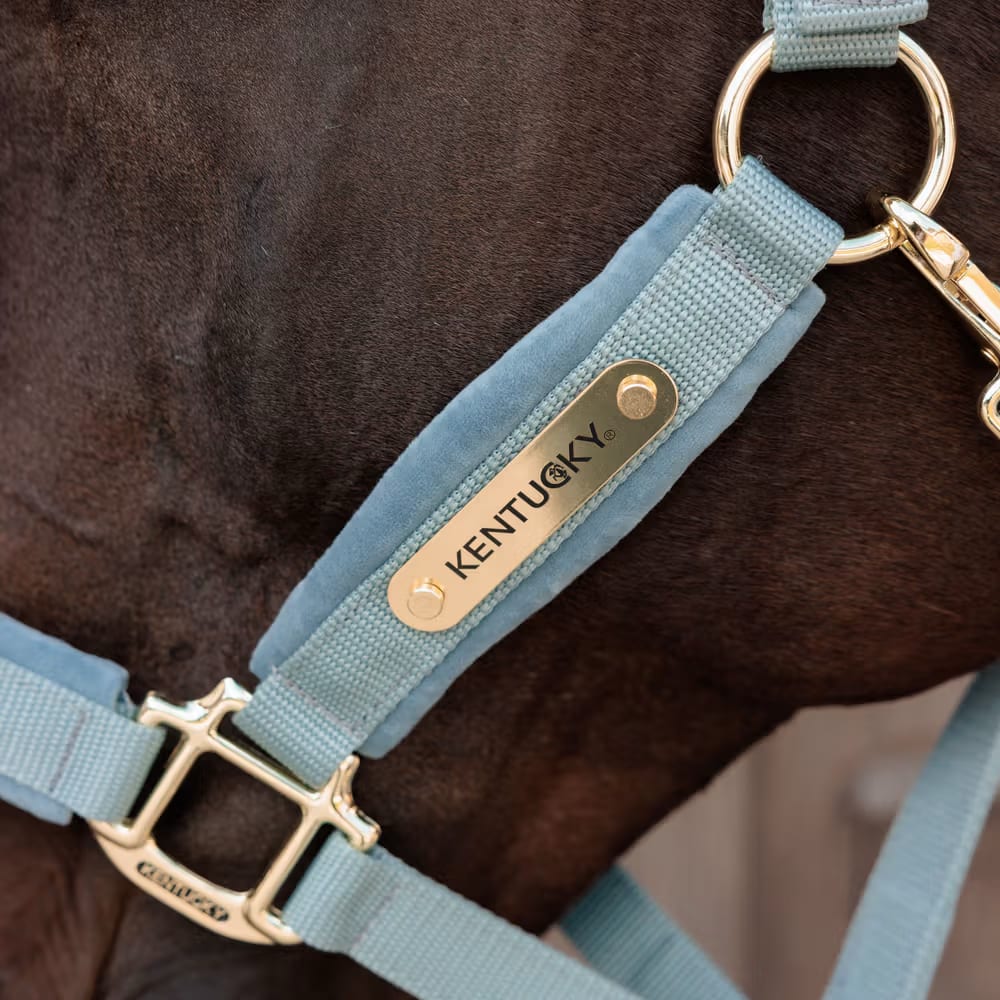 Kentucky Velvet Halter - Løwenborg - Kentucky Horsewear