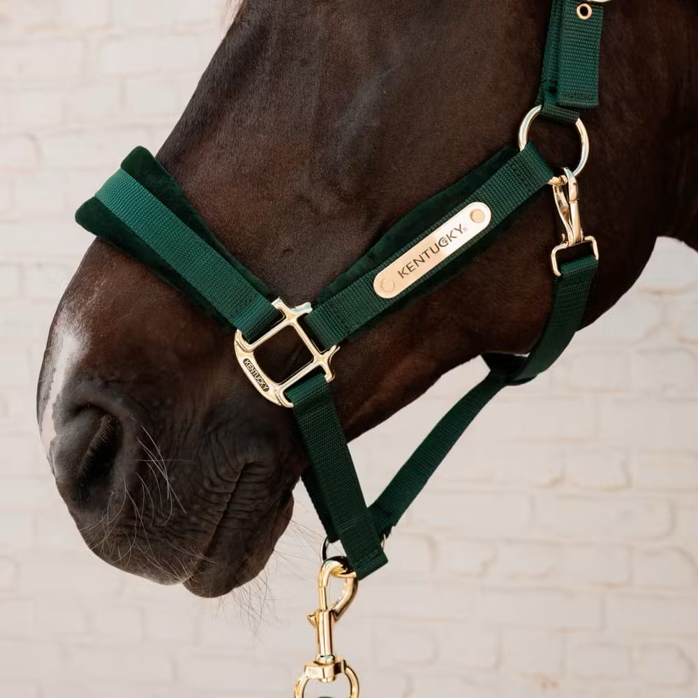 Kentucky Velvet Halter - Løwenborg - Kentucky Horsewear