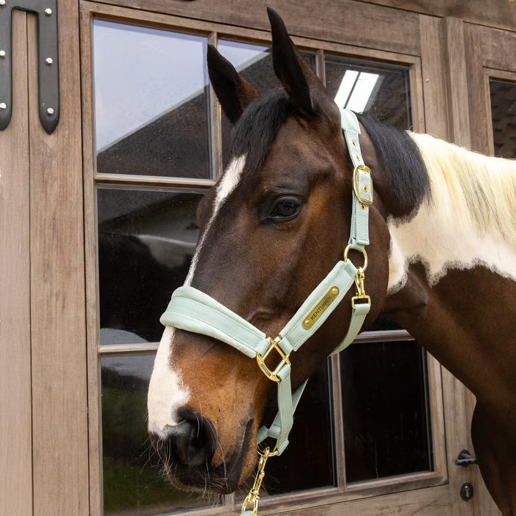 Kentucky Velvet Halter - Løwenborg - Kentucky Horsewear